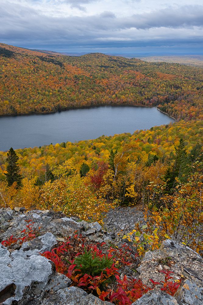 USA, Maine. Lowbush blueberry, fall foliage and South Branch Pond from Traveler Mountain, Baxter SP